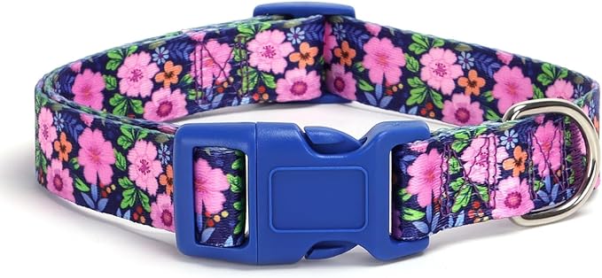 Dog Collar with Leash Airtag Holder Case Set - Dog Collars for Male Female Boy Girl Puppy X-Small Small Medium Large Dogs Walking Running Training - Daisy/M