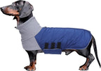 Dachshund Dog Coats Jacket fit for Dachshunds Corgi Weiner Reversible Winter Coat Padded Cotton Lining high Collar Dog Suit in Autumn Winter Navy S