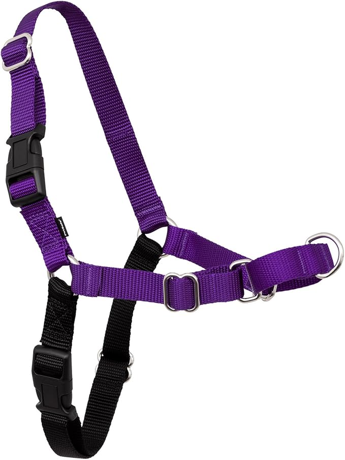 PetSafe Easy Walk Harness for Dogs - Pull-Free Walks - Patented Martingale Loop Design - Front Chest Leash Attachment - Comfort Straps - Breathable Harness Design - Medium, Deep Purple/Black