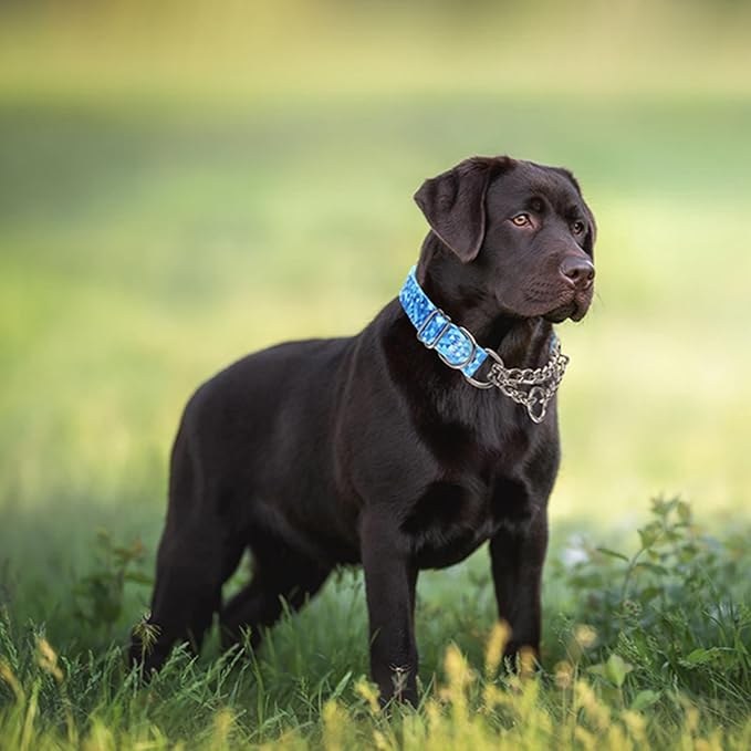 Stainless Steel Dog Choker Collar for Large Dogs,Martingale Collar for Dogs,Training Heavy Duty No Pull Escape Proof Slip Dog Dog Collar for Medium Large Pet Boy Male Dogs,Blue XL