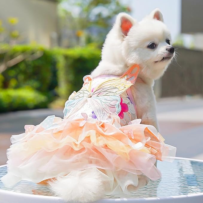 Dog Princess Dress,Summer Thin Cat Rainbow Butterfly Pettiskirt Cute Pet Clothes Chihuahua Teddy Dress Pet Supplies (S)