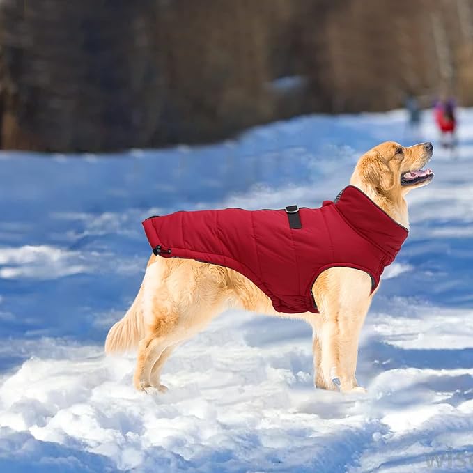 Geyecete Dog Winter Warm Coat Dogs Winter Jacket Windproof Snowproof,Pet Outdoor Jackets Dog Jacket for Small Medium Large Dogs-Red-M