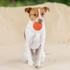 Best Pet Supplies Squeaky Dog Toys with Soft Durable Fabric for Small, Medium and Large Pets Interactive Toy for Indoor Play, Supports Active Biting and Play - Orange (L:3.5")