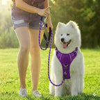 BARKBAY Dog Harness No Pull Oxford with ID Tag Pocket - Heavy Duty, Reflective, Easy Control for Large Dogs(Purple Oxford,S)
