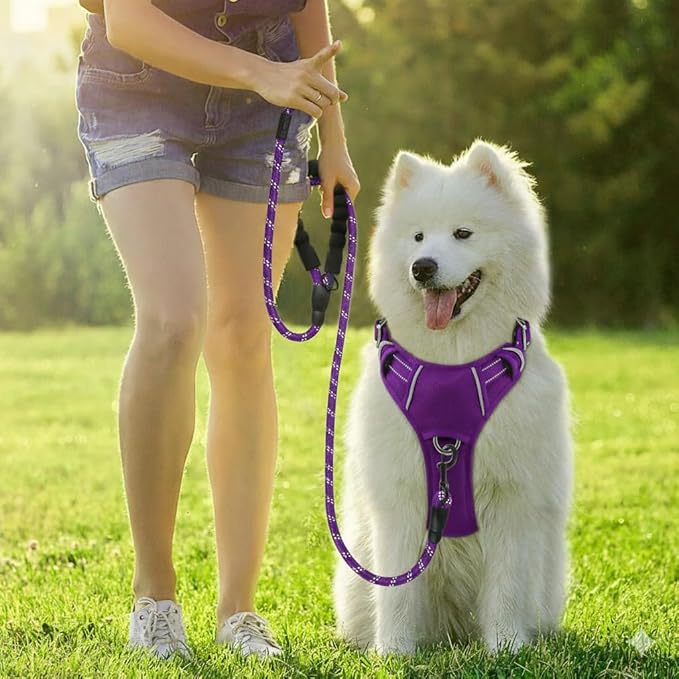 BARKBAY Dog Harness No Pull Oxford with ID Tag Pocket - Heavy Duty, Reflective, Easy Control for Large Dogs(Purple Oxford,L)