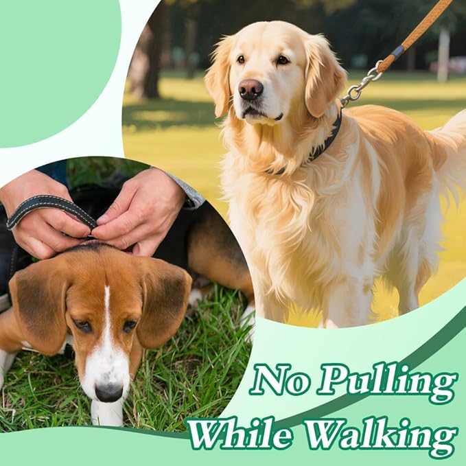 No Pull Prong Dog Collar,Adjustable Dog Pinch Training Chain Collar with Comfort Rubber Tips for Training Guidance Small Medium Large Dogs (XL)