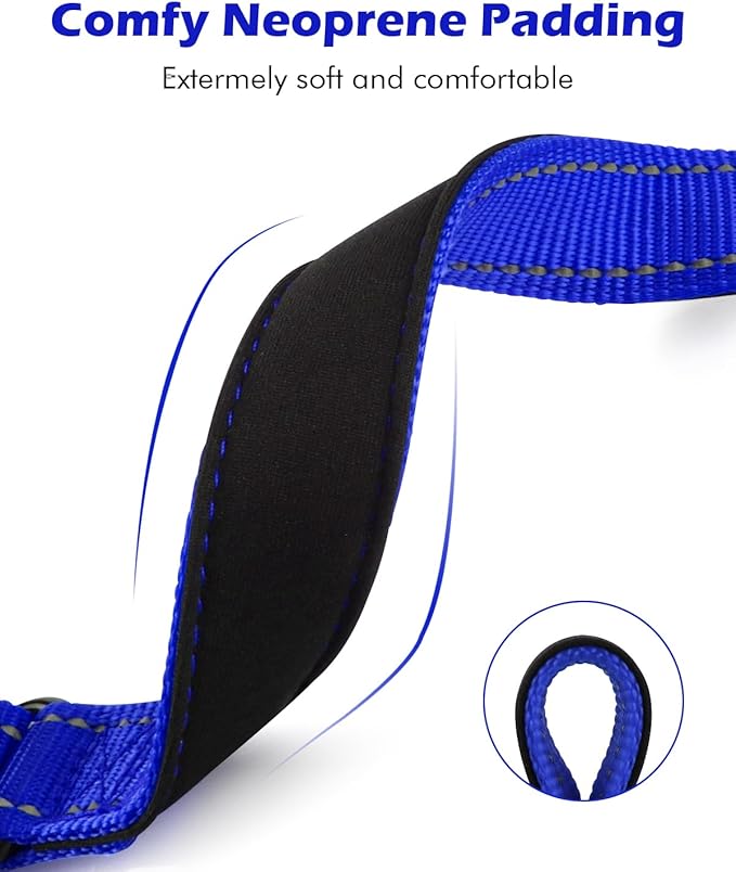 Martingale Collar for Dogs with Quick Release Buckle, Reflective Soft Padded & Escape Proof, Adjustable Nylon Dog Collars for Training & Daily Walking (Royal Blue,S)