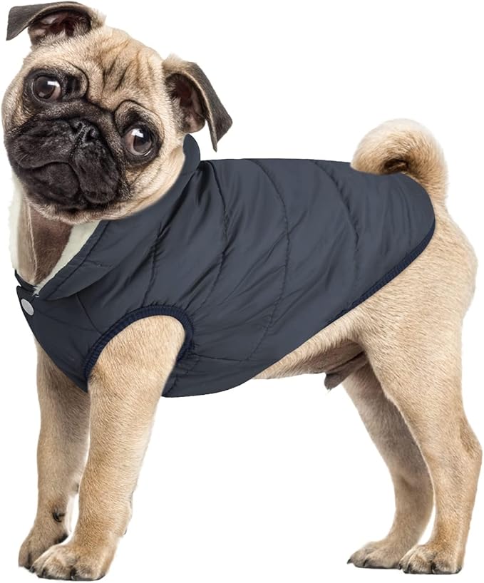 ASENKU Dog Winter Coat - Waterproof Windproof Dog Jacket, Warm Snowproof Doggie Puffer Vest for Cold Weather, Lightweight Snow Coats for Small Medium Large Dogs (XL, Blue)