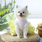 Cute Pet Frilly Dress for Dogs and Cats - Spring and Summer Fruit-Themed Party Gown for Small, Medium, and Large Breeds