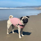 Gooby Zip Up Microfiber Fleece Dog Sweater - Pink, Small - Warm Double Layered Soft Microfiber Fleece Step-in Dog Jacket for Small to Medium Dogs