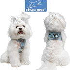 EXPAWLORER Classic Plaid Puppy Harness - Small Dog Collar and Leash with AirTag Holder Case - Soft Mesh Padded Adjustable Dog Vest Harness No Pull, Reflective Escape Proof for Outdoor, Blue S