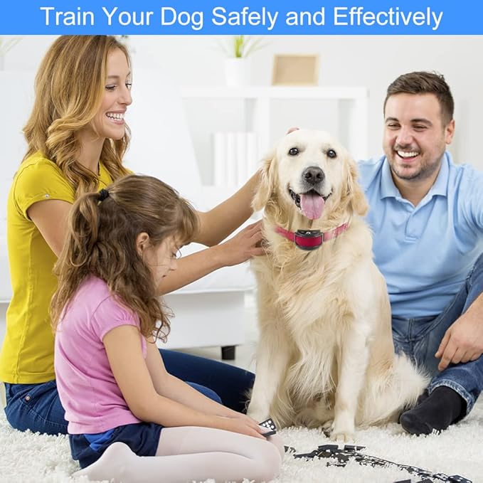 PaiPaitek No Shock Dog Training Collar with Remote, Lightest Vibration Collar for Small Dogs 5-15lbs & Medium Large Dogs, Rechargeable, Waterproof, 1600ft Range, No Prongs