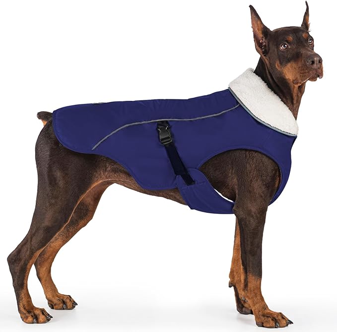 EMUST Dog Coat, Waterproof Dog Snow Jacket for Winter, Adjustable Small/Medium/Large Pet Coat/s for Winter,Blue L