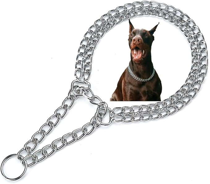 Silver Dog Chain Collar for Medium Dogs, Training Double Row Chains Choker Collar Heavy Duty Metal Slip Choke Collar Martingale Collars for Small Medium Large Dog, D2.5mm
