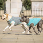 KYEESE 2 Pack Dog Shirts Quick Dry Soft Stretchy Sun Protection Pet T-Shirts with Reflective Label Tank Top Sleeveless Vest Dog Clothes for Medium Large Dogs, XX-Large, Grey+Blue