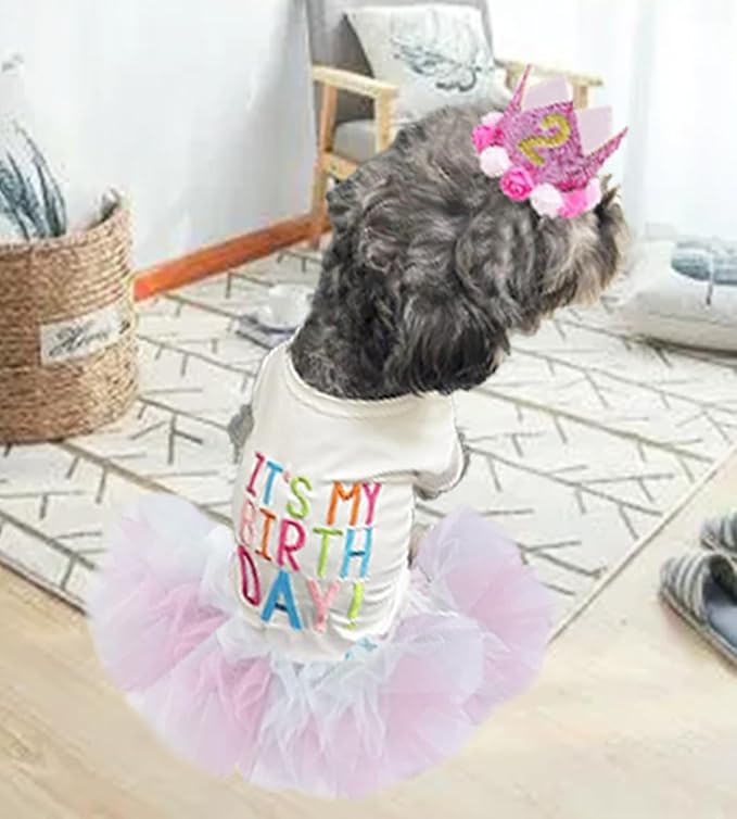 ANIAC Dog Birthday Dress and Hat Set Puppy Lace Tutu Pink Pet Crown Hat with 0-9 Figures Birthday Outfit for Cats Small Dog (White+Pink, Small)