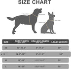 EXPAWLORER Classic Plaid Puppy Harness - Small Dog Collar and Leash with AirTag Holder Case - Soft Mesh Padded Adjustable Dog Vest Harness No Pull, Reflective Escape Proof for Outdoor, Blue S