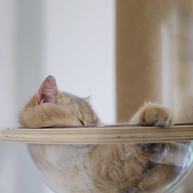Cat Tree Transparent Spaceship Hammock Accessory Free Standing Cat Stand Accessory Modern Activity Cat Stand Space Ship