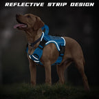 WINGOIN Blue Tactical Dog Harness for Medium Dogs, Heavy Duty No Pull Dog Harness with Handle, Adjustable Reflective Military K9 Pet Vest for Pitbull, Female, Male, Walking, Training, Hunting (M)