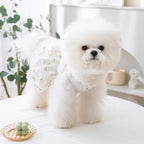 Princess Dog Dresses - Puppy Skirt with Lace & Embroidered Bowknot for Girl, Cat Apparel - Wedding, Birthday Party