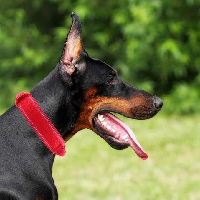 Tactical Dog Collar with Heavy Duty Metal Buckle and Control Handle for Medium Large Dogs Training(Red, Large)