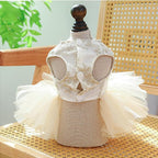 ANIAC Embroidered Dog Dress for Small Dog,Girl Puppy Princess Tutu Dress with Leash Ring,Cat Apparel,Chihuahua Yorkie Clothes for Birthday Wedding (X-Small, Champagne)