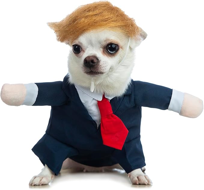 Dog Suit Costume Pet Wedding Shirt with Wig Funny Dog Suit and Tie for Small Medium Dog Cat Wedding Party Formal Gentleman Clothes (2XL)