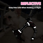 PUPTECK No Pull Dog Harness Small Sized Dog, Adjustable Reflective Escape Proof Easy Control, Comfortable Soft Padded Step in Pet Vest Harness, Heart, S