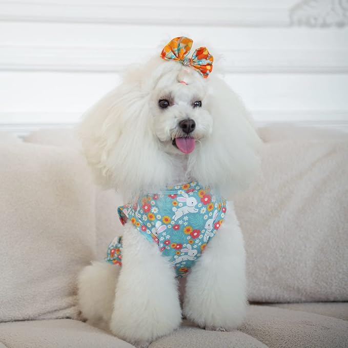 CuteBone Dog Shirts 2-Pack St.Patrick's Day & Easter Soft Pet Clothes Breathable Summer Vest for Small Puppy and Stretchy Cat Apparel 2BX12XS