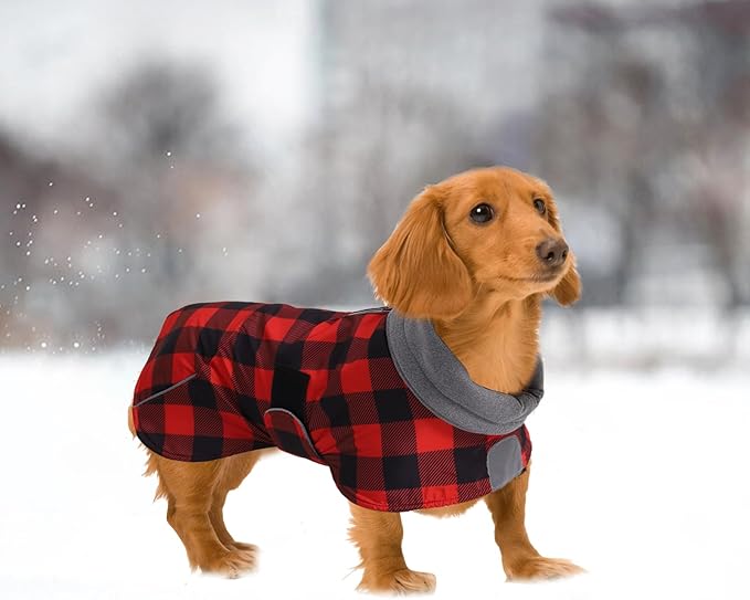 Dachshund Coats Waterproof Perfect for Dachshunds Sausage Weiner Dog Winter Coat with Padded Fleece Puppy Snowsuit with Adjustable Bands Reflective Stripe - PlaidRed - S