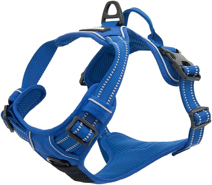 Voyager Dog Harness Dual Leash Attachment No-Pull Control Adjustable Soft but Strong Pet Harness for Medium and Large Dogs with 3M Reflective Technology, Royal Blue Lattice Nylon, M (Chest: 20-25")