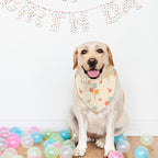 Happy Birthday Dog Bandanas, Double Sided Adjustable Birthday Party Pet Decorations 2 Pack Triangle Bibs Cat Scarf Set