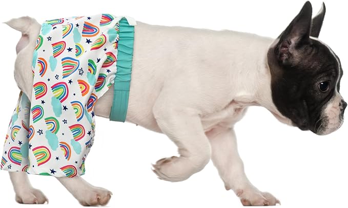 HDE Dog Swim Trunks Hawaiian Board Shorts Beach Pool Swimsuit for XS to XXL Dogs Rainbows - S