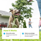 Premier Pet Dog Shock Collar - Safe Behavior Training - 1000ft Long Range Training Shock Collar with Remote - Waterproof Rechargeable Design - 3 Modes - 16 Levels of Static Stimulation - 2 Collars