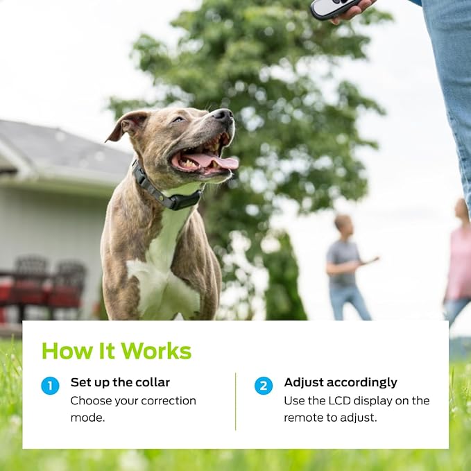 Premier Pet Dog Shock Collar - Safe Behavior Training - 1000ft Long Range Training Shock Collar with Remote - Waterproof Rechargeable Design - 3 Modes - 16 Levels of Static Stimulation - 2 Collars