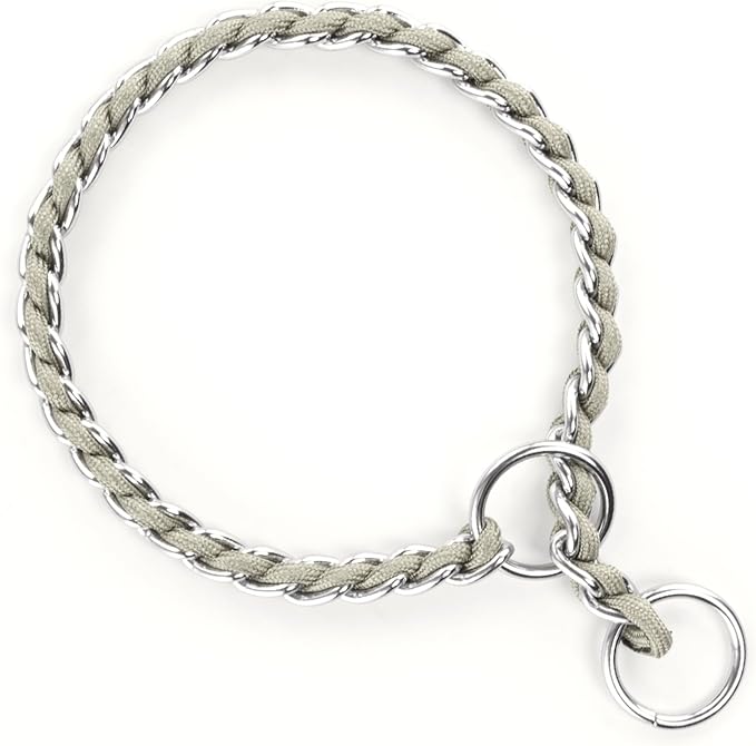 TSPRO Stainless Steel Heavy Duty Metal Dog Collar, Adjustable and Durable Pet Collar for Small Dogs, Ideal for Walking and Training (Gray, 3MM*13-15 inches)