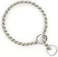 TSPRO Stainless Steel Heavy Duty Metal Dog Collar, Adjustable and Durable Pet Collar for Small Dogs, Ideal for Walking and Training (Gray, 3MM*13-15 inches)