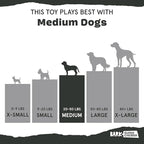 Barkbox Jelly Fetch Dog Toy for Medium Dogs – Perfect for Tug and Fetch Play, Durable Design with Strong Nylon Straps for Long-Lasting Fun