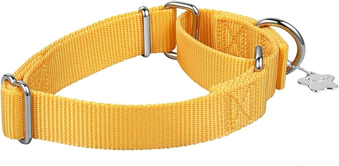 Martingale Dog Collar, No-Buckle Escape-Proof Design, Heavy-Duty Nylon and Welded D-Ring, Adjustable Training Collar for Medium Large Dogs (BrighYellow, L)