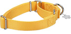 Martingale Dog Collar, No-Buckle Escape-Proof Design, Heavy-Duty Nylon and Welded D-Ring, Adjustable Training Collar for Medium Large Dogs (BrighYellow, L)