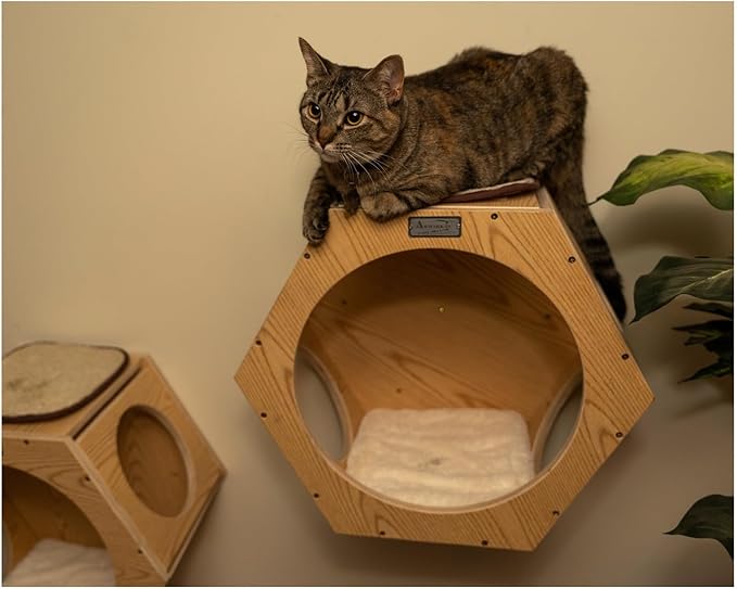 Maykoosh Global Greatness Wood Wall Set of Two Cat Shelves, Natural Beige, 20" x 12" x 18" - Cat-Friendly, Vertical Space Efficiency