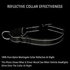 PLUTUS PET Reflective Martingale Collar with Quick Snap Buckle,No Pull Dog Choker Collar for Small Medium Large Dogs, L, Ranger Green