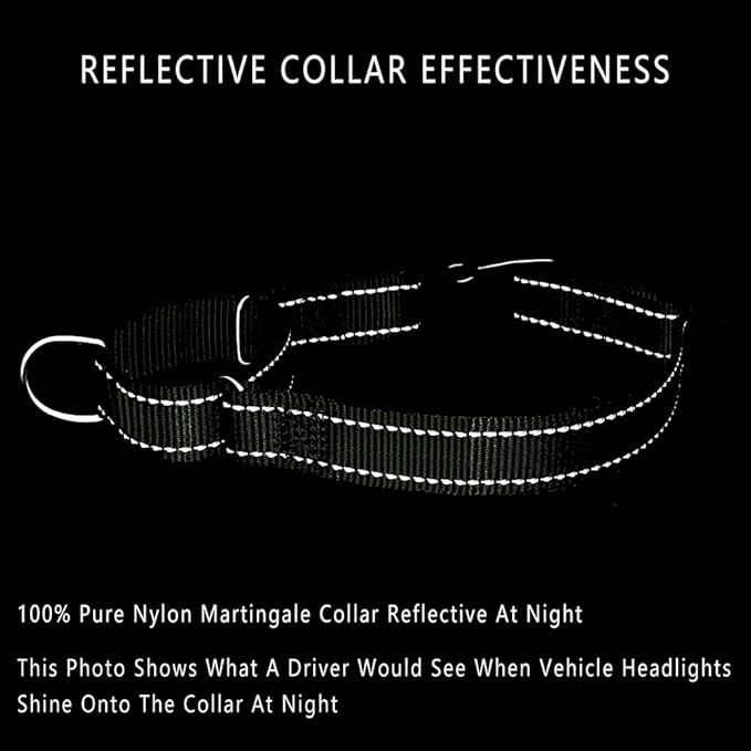 PLUTUS PET Reflective Martingale Collar with Quick Snap Buckle,No Pull Dog Choker Collar for Small Medium Large Dogs, L, Ranger Green