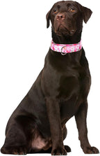 Pink Floral Print Martingale Collar, No-Slip Escape Proof Choke No Pull Soft Nylon Training Dog Collars for Small Medium Large Breed Pet Dogs, M