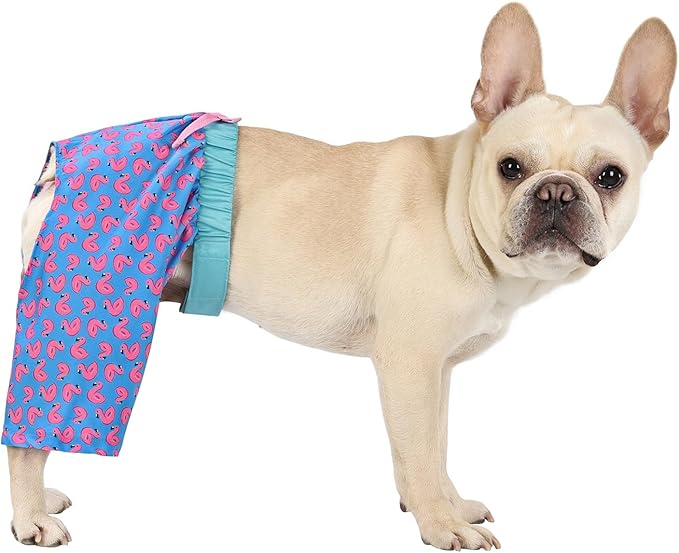 HDE Dog Swim Trunks Hawaiian Board Shorts Beach Pool Swimsuit for XS to XXL Dogs Flamingos - XS