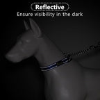 Plutus Pet Martingale Dog Collar with Stainless Steel Chain and Reflective Nylon, Adjustable No Pull Training Collar, for Small Medium, and Large Dogs, Royal Blue, S