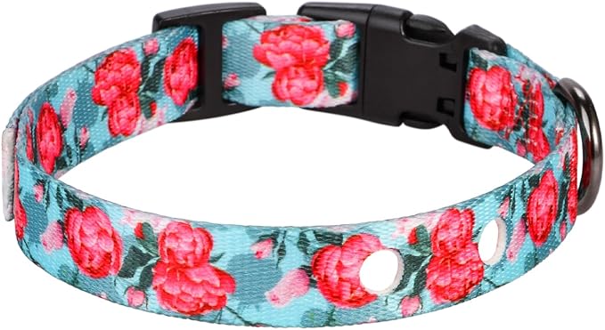 Rhea Rose 3/4 Inch Replacement Collar Strap Shock Collar with 2 Holes, Compatible with Nearly All Brands and Models of Underground Electric Dog Fences and Training Collars, Rose