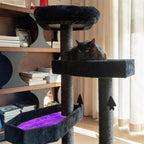 Happy & Polly Gothic Cat Tree with Coffin Bed - 40.9" Black Cat Tower with Soft Mats (Purple)