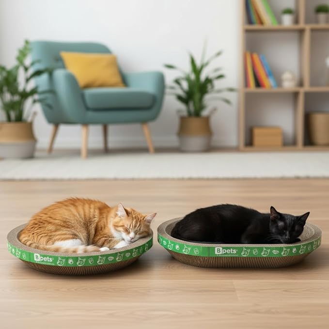 B Kitty Scratcher Cat Bed, Fun for Your Purr-FECT Feline (B-Scratcher Oval/Round Pack x 2)
