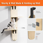 Cat Tree Door Hanger, Door Hanging Cat Climber Shelves, 4-Levels Mounted Over Door Cat Climber for Indoor Cats